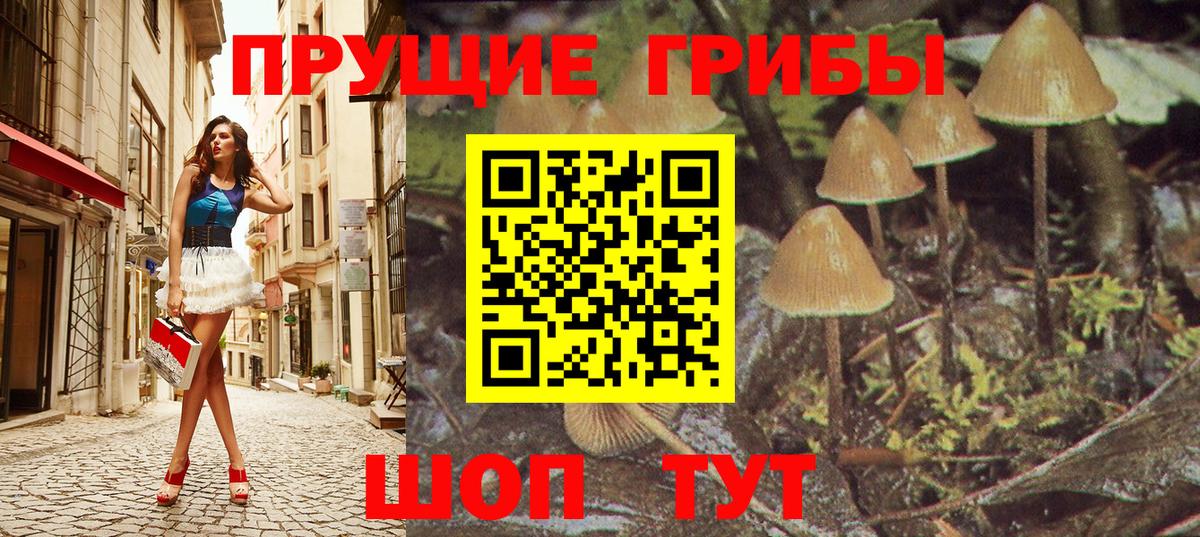 Псилоцибиновые грибы Magic Shrooms  Псилоцибиновые грибы Psilocybe  Вход с VPN  Кузнецк 