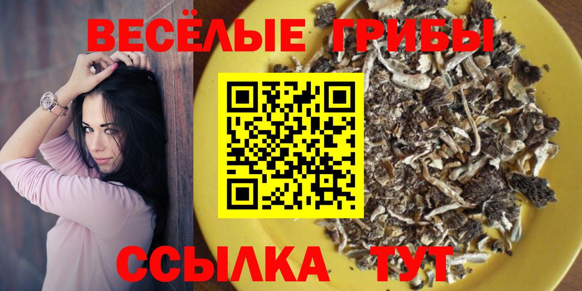 Псилоцибиновые грибы прущие грибы Кузнецк